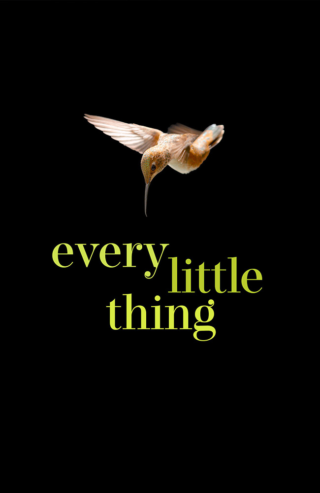 فیلم تک تک چیزهای کوچک زیرنویس فارسی ۲۰۲۴