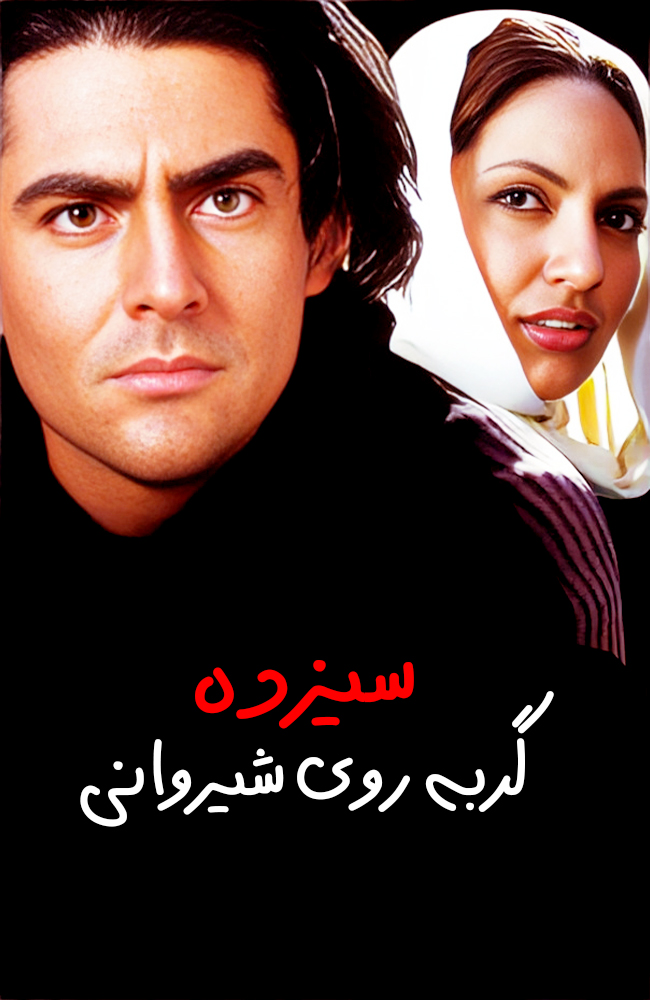 فیلم سیزده گربه روی شیروانی 