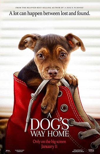 فیلم مسیر بازگشت یک سگ به خانه زیرنویس فارسی ۲۰۱۹