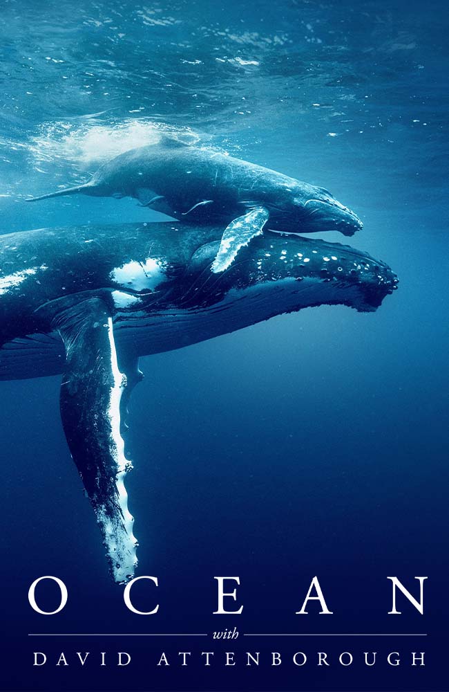 فیلم اقیانوس با دیوید اتنبرو زیرنویس فارسی ۲۰۲۵