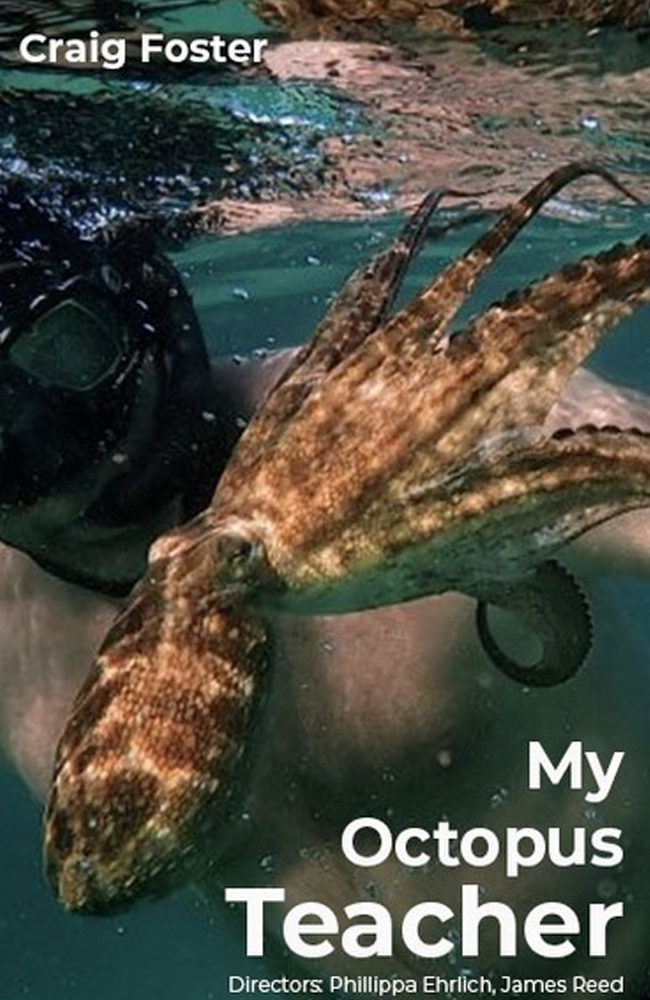 فیلم معلم اختاپوس من زیرنویس فارسی ۲۰۲۰