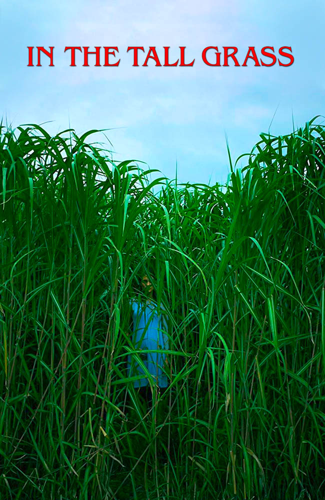 فیلم در میان علف زار بلند زیرنویس فارسی ۲۰۱۹