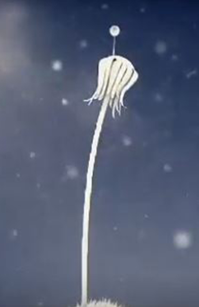 انیمیشن قاصدک زیرنویس فارسی ۱۹۹۱