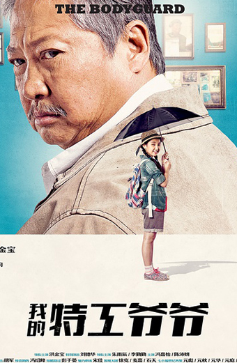 فیلم بادیگارد زیرنویس فارسی ۲۰۱۶