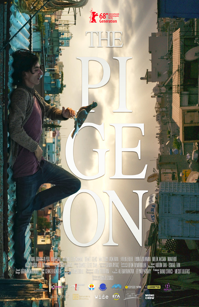 فیلم کبوتر زیرنویس فارسی ۲۰۱۸